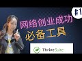 什么是Thrive Suite?建站，拿名单，转化一个工具全部搞定