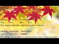もみじ Momiji / Maple Leaves