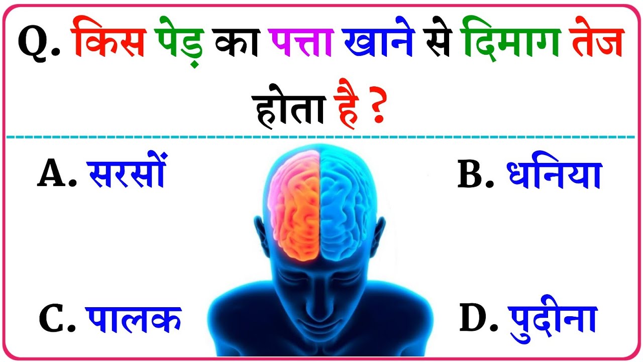 GK Question || GK In Hindi || GK Question and Answer || GK Quiz || Gk Brain Oxygen || PART 41 ||