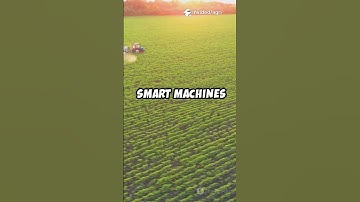 Revolutionizing Agriculture: Machine Learning in Autonomous Spraying Systems