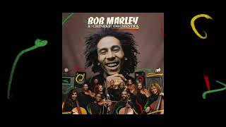 Stir It Up – Bob Marley and The Chineke! Orchestra (Visualizer)