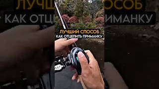 Лучший способ как отцепить приманку на рыбалке #рыбалка #карась #fishing