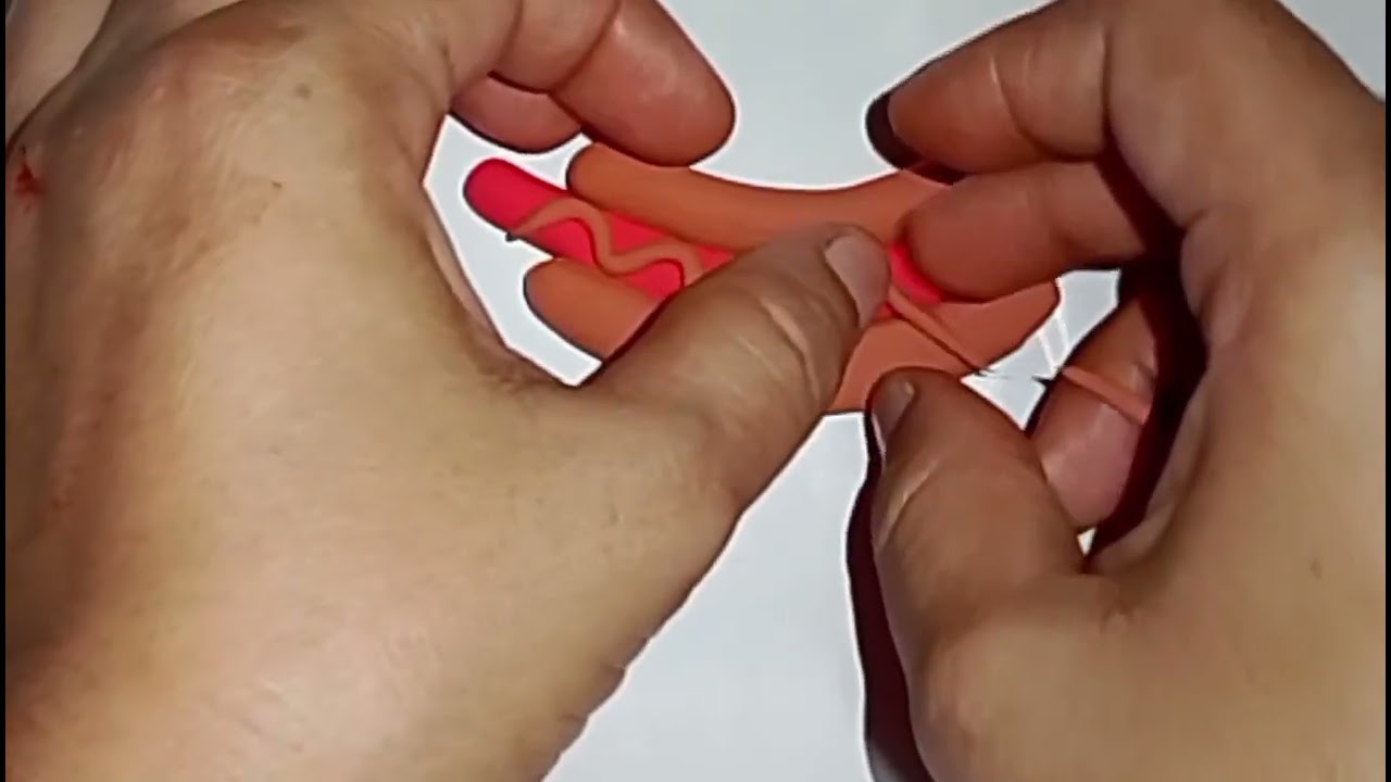 Claycraft 🍕🍕🌭🌭🥯🥯 