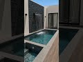 Dirty Pool Transformation | Luxury Backyard | Blue Aid #blueaid #luxurypool #dirtypool