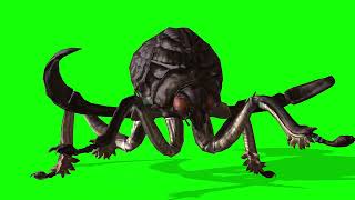 Free Green Screen Video, Visual Effects, Animal, Spider, Chroma Key - Non Copy Right