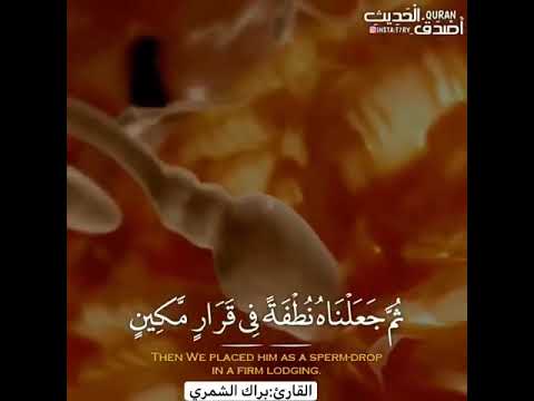 سبحان من خلق وصور