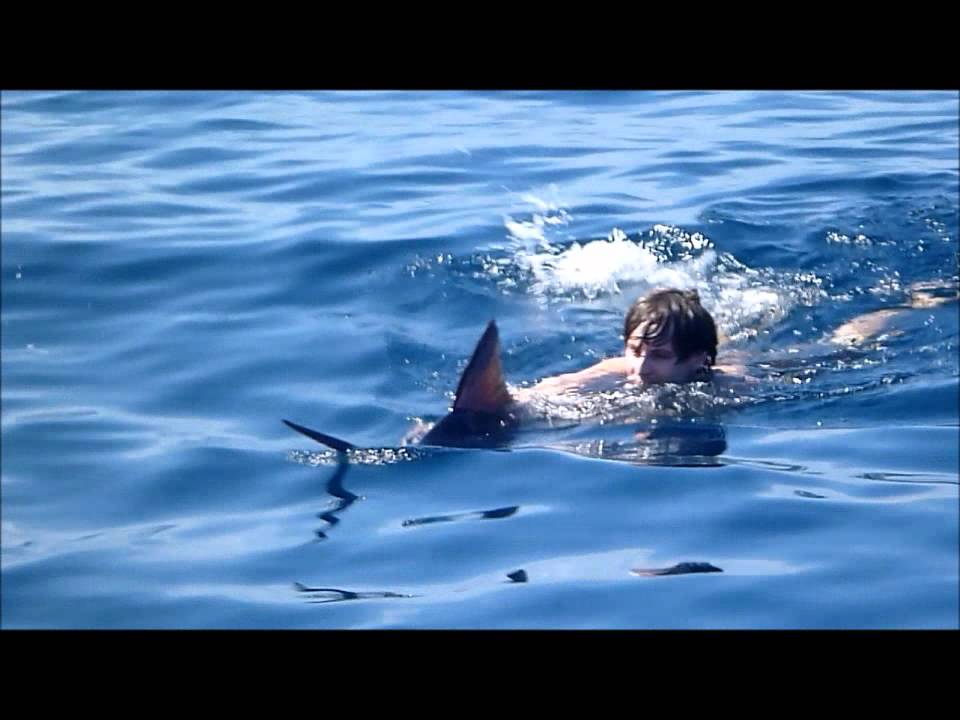 Swimming with a Marlin - Matt Espen