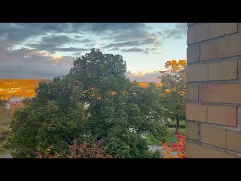 يشبهنا إلى حد كبير هذا الفصل يشبه لحظات نقرر أن نتجرد فيها من روحنا المنهكة