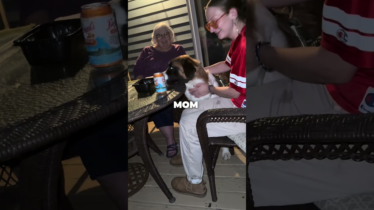 Мой первый год в профессиональном баскетболе уже не за горами👀