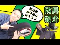 【剣道具紹介】子ども・初心者にオススメ防具一式【清流】を詳しくご紹介！中学生や高校生の稽古用にも使えます。森本剣道チャンネル