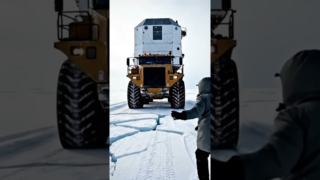 Would you be brave enough to drive this? 