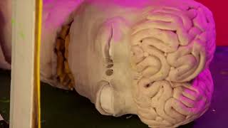 Aliens Put Baby In Microwave An Alien Claymation