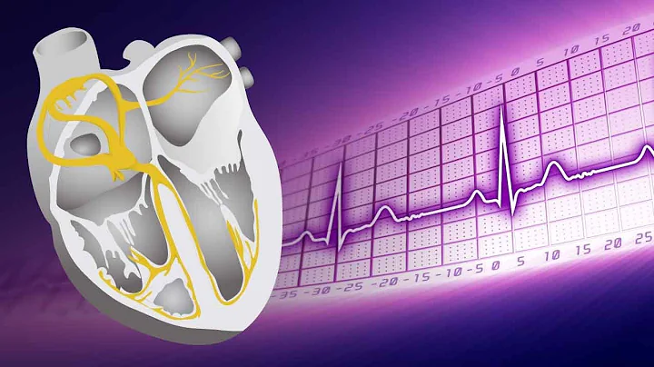 Electrical Conduction System of the Heart - MEDZCOOL