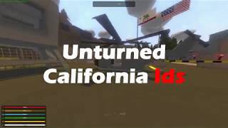 Unturned California IDs