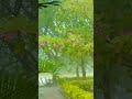 Happy monsoon 😚😚😊😊