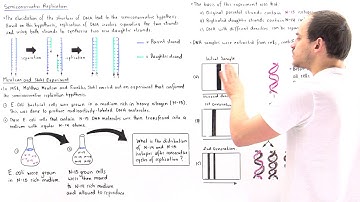 Meselson and Stahl Experiment