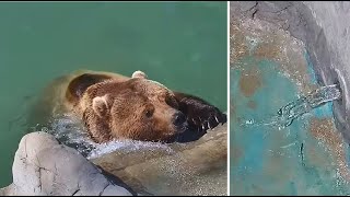 Мансур 🤎 Кристально чистая вода... Время мыть бороду! 😊🌊✨