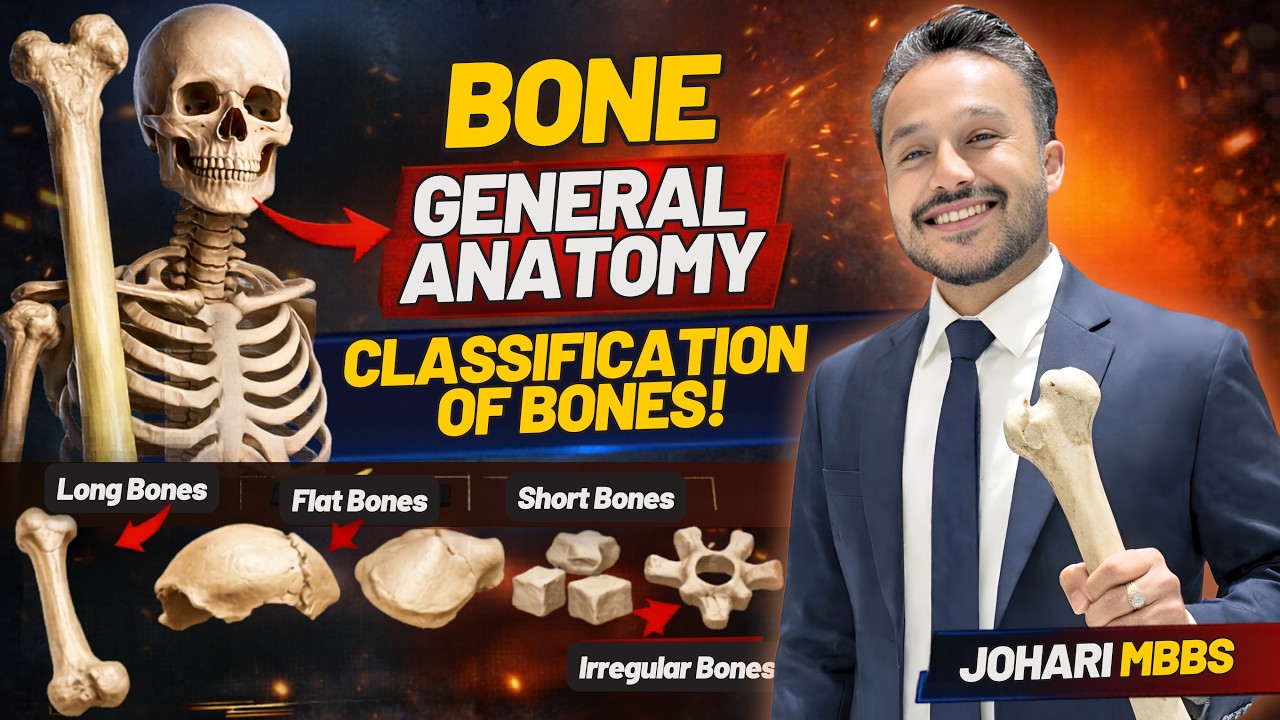 Bone General Anatomy for MBBS 1st Year Students | Classification of ...