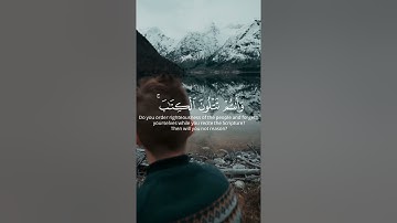 أتأمرون الناس بالبر وتنسون أنفسكم | سورة البقرة ماهر المعيقلي 🌺🌱