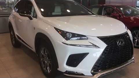 Discover The 2019 Lexus NX 300 Black Line Special Edition