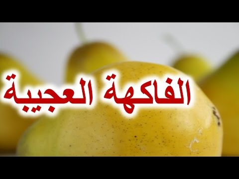 فيديو: معلومات Calleryana - تعرف على كيفية رعاية أشجار الكمثرى Callery