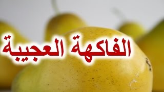 هل تعلم ماذا سيحصل لو أكلت الإجَّاص (الكمثرى) كل يوم |  ما يحدث لجسم عند المداومة على تناول الإجَّاص