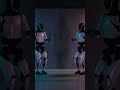 Robots Take Over? Tesla's Secret Dance Party Revealed!