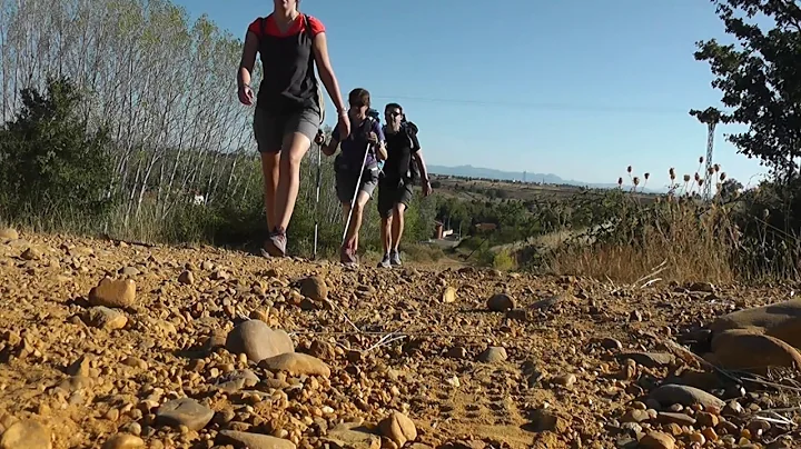 CAMINO FRANCES. ETAPA 20. LEON - VILLAR DE MAZARIFE.