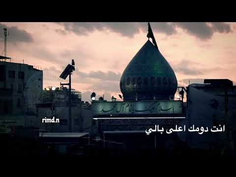 يشهد الله ما نسيتك لحظة وحدة ملا باسم الكربلائي دنيا يا صاحب الزمان يامهدي