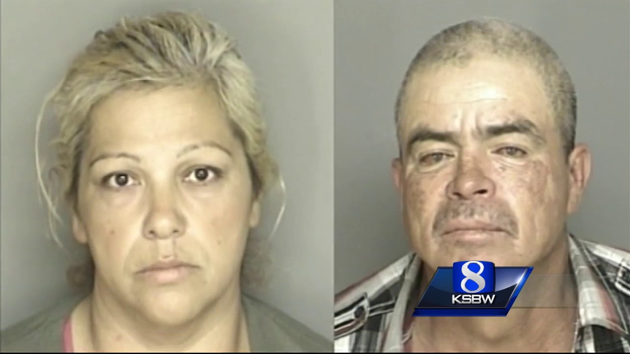 Castroville homes raided by SWAT team YouTube