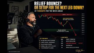 Will Mag 7 Crash the Market