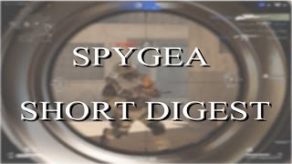 【SF2 Soldier Front 2】SPYGEA SHORT DIGEST