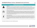 Bureau of Developmental Services, Service Options Webinar: Individual Goods and Services
