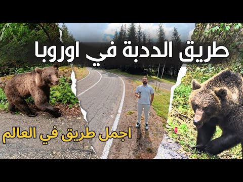 طريق الددبة في اوروبا اجمل طريق في العالم 