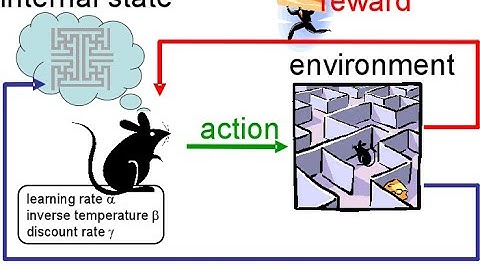 Optimizing differential equations with reinforcement and genetic learning