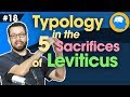 Typology in the 5 Sacrifices of Leviticus: How to find Jesus in the OT pt 18