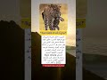 أفضل صورة لعام 2022 و الاكثر إثارة