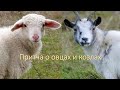 Субботняя школа 27.05.2023