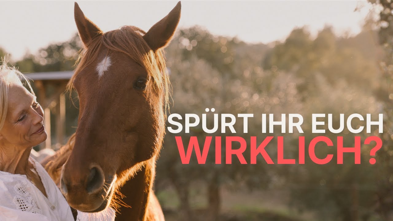 Nebeneinander herleben: Wie Sinnlichkeit euch wieder verbindet.