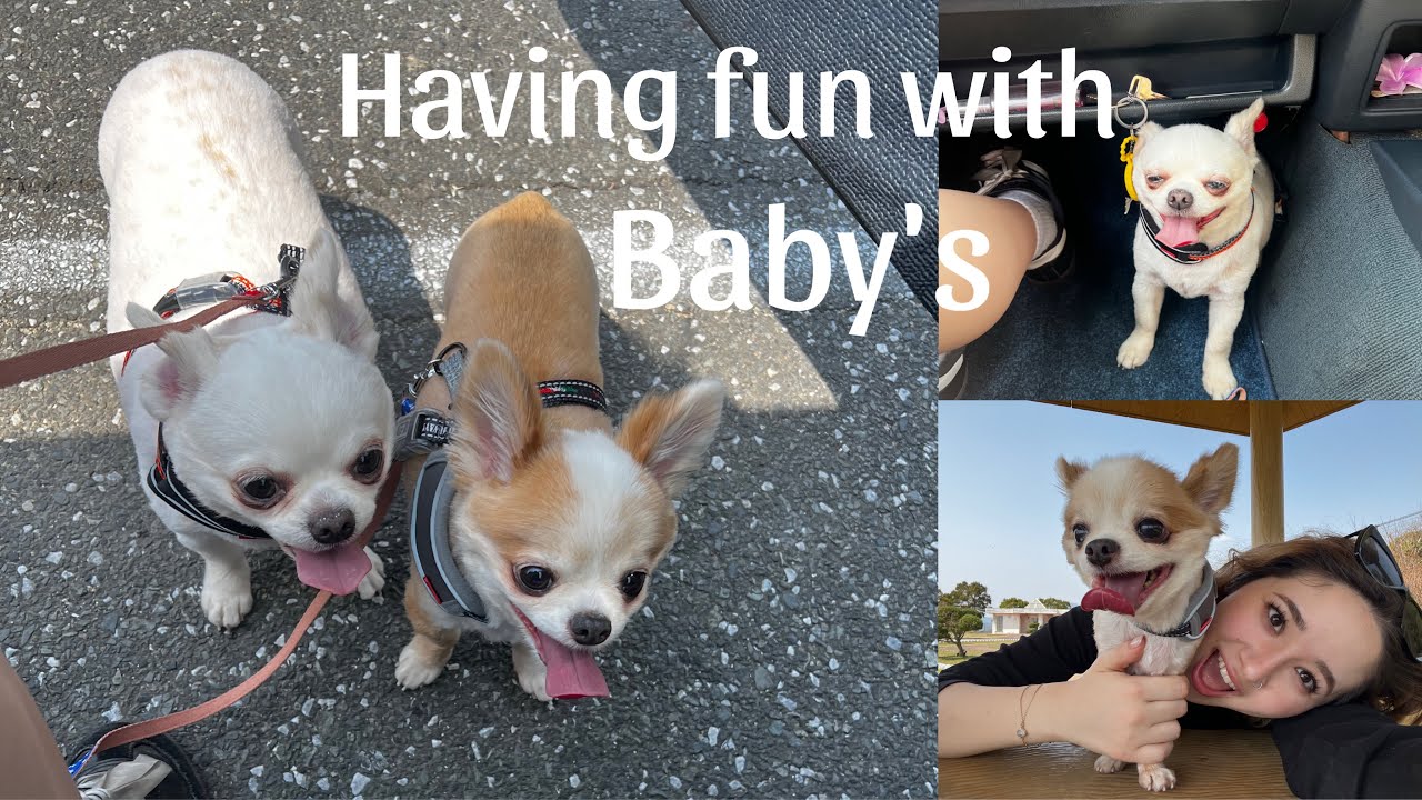 ｰJUST HAVING FUN WITH MY CUTIES ｰただ幸せな日❤️🪩💐🐶🐶