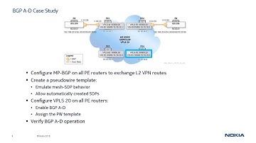 SRC Learning Essentials video series - BGP Auto-Discovery (A-D) in a VPLS