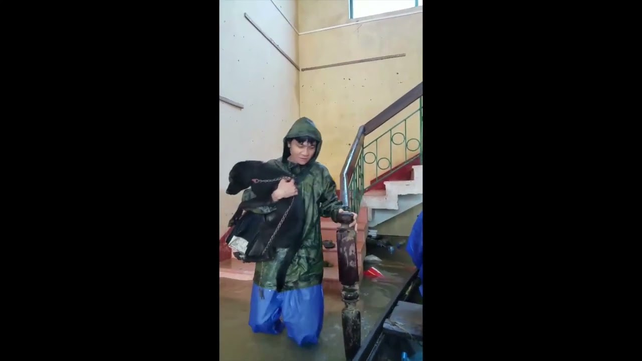 We tried to rescue animals during the flood