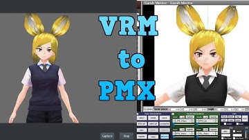 vRoid to MMD tutorial by #DenomRS
