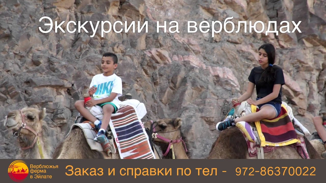 Camel Ranch Eilat - YouTube