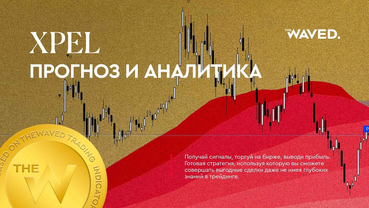 Прогноз цены XPEL (XPEL, INC) на сегодня и 2023 год. Инвестиции в Xpel Inc. Обзор XPEL
