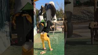 Fitness Model 💪 Fitness With Yoga Vlog ❣️ #shorts #yoga #fitness