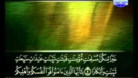 سورة التحريم كاملة الشيخ علي الحذيفي