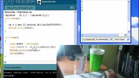 water level meter using a capacitive sensor
