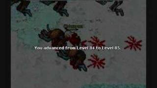 Chicayan Elite Knight Fortera Tibia