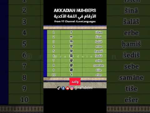 لفظ الارقام في اللغة الاكدية    